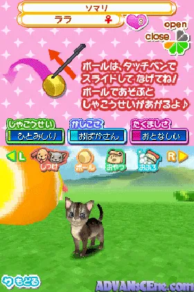 Machi no Pet-ya-san DS 2 - Wannyan 333-hiki Daishuugou! (Japan) screen shot game playing